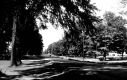 Street by Town Green