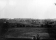 Fields Around Sheldon
