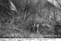 Horse and Carriage on Old Smuggler's Notch Road