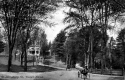 Horsedrawn Carriages on Western Avenue