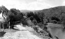 Tyson near Colby Pond