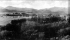 Fields Surrounding Town
