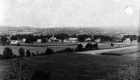 Cornfields near Town
