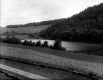 Crops near the River