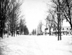 Street in the Snow