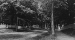 Tree lined Street