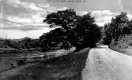 The River Road