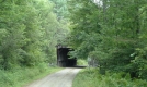 Salmon Bridge