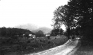 Horse and Carriage Traveling Down a Main Road