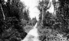 Dirt Road in Beecher