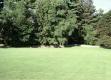 View from Everett Mansion
