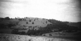 View of Bridge and Farm Fields