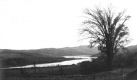 Berlin Pond from Open Field