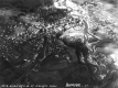 Aerial Photograph of the White River
