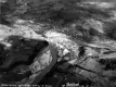 Aerial Photograph of the White River and the Third Branch of the White River