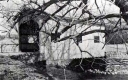 Covered Bridge at Mills Riverside Park