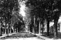 Canarvon Street
