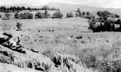 Bolton Mountain from open fields