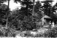 George Washington bungalow, Oakledge Resort