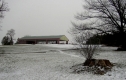 The picnic pavilion at Oakledge Park, where the manor once stood.