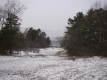 View toward Lake Champlain from picnic pavilion (old site of Oakledge Manor)