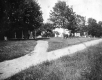 Horse and Carriage on Town Green