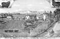 Drawing of Cream Hill Home
