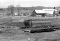 Bailey Farm