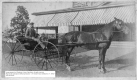 Horse and Carriage at Oakledge near main house, Webb era