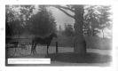 Horse and Carriage, Oakledge, Webb era