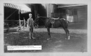 Horse and rider on the southwest side of the Oakledge Manor house, Webb era
