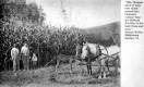 Hubbard Fertilizer Advertisement