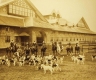 Horsemen and dogs wait for the hunt 