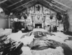 Hunting trophies at the residence of W. Webb