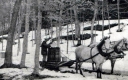 Gathering Maple Sap in a Sugar Bush