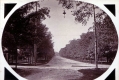 Tree Lined Park Street 