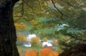 Autumnal View of East Orange