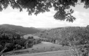View Down the Pomfret Valley