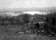 Birdseye view of Island Pond