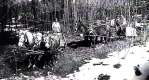 Sugaring with Horsedrawn Sleds