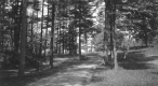 Entrance Drive to the Rock Point Hill