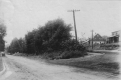 St. Paul Street and South Winooski Avenue, Looking North