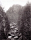 Halfway down, looking Up the Black River