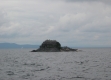 Cormorants on Rock Dunder