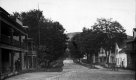 Tree-lined Street in Proctorsville