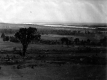 St. Albans Bay from Sunderland Farm