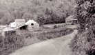 A Small Farmstead