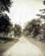 A Country Road