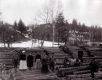 A.P. Williams & Son Mill and Logs