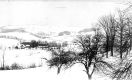 Snowy View of Open Fields